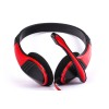 ANA-589R1